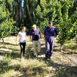 Convocan a productores de Perito Moreno a participar del Catastro Hídrico de Riego Público