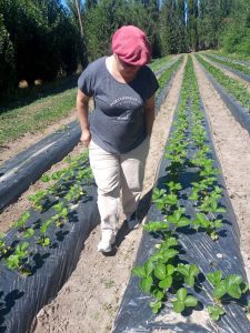 Convocan a productores de Perito Moreno a participar del Catastro Hídrico de Riego Público