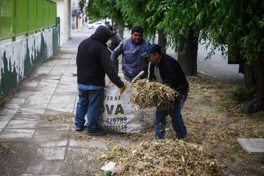 El Consejo Provincial de Educación continúa con el Plan de Verano 2026