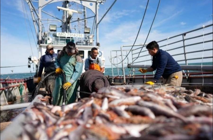 Santa Cruz solicitó ante el Consejo Federal Pesquero la apertura de las Subáreas 15 y 16 para la pesca de langostino
