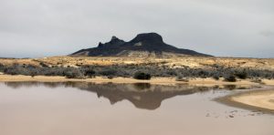 Humedales del Parque Nacional Bosques Petrificados: Son un oasis de vida en la estepa patagónica
