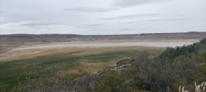 Humedales del Parque Nacional Bosques Petrificados: Son un oasis de vida en la estepa patagónica