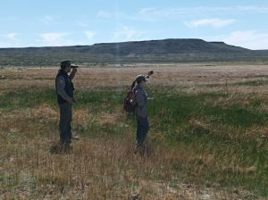 Humedales del Parque Nacional Bosques Petrificados: Son un oasis de vida en la estepa patagónica