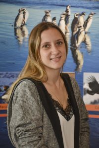 Diego Gamboa anticipó la realización del Consejo Provincial de Turismo en Santa Cruz