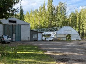 Claudio Vidal se encuentra recorriendo el sector productivo y manteniendo encuentros institucionales en Los Antiguos