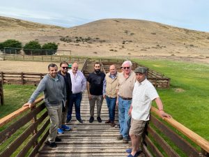 Se avanza en la exploración de nuevos mercados para la producción ovina