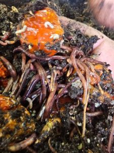 Estudiantes del Colegio Secundario N° 9 refuerzan contenidos en la Escuela de Verano