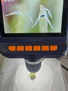 Estudiantes del Colegio Secundario N° 9 refuerzan contenidos en la Escuela de Verano