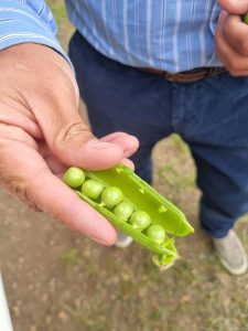 Producción local y trabajo en territorio: el CAP visita la chacra Don Pino