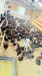 Producción local y trabajo en territorio: el CAP visita la chacra Don Pino