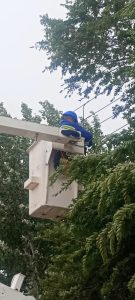 Servicios Públicos realiza trabajos integrales en energía y agua en el Distrito Puerto Deseado