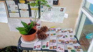 Proyectos educativos del Colegio Secundario N°46 fortalecen las trayectorias escolares en verano