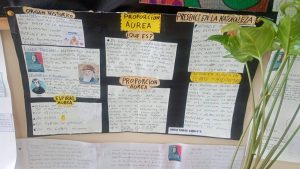 Proyectos educativos del Colegio Secundario N°46 fortalecen las trayectorias escolares en verano