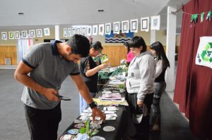 Finalizaron las Escuelas de Verano en distintas localidades de Santa Cruz