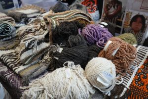 Autoridades provinciales participaron de la Expo Rural en Puerto Deseado