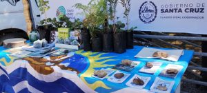 Autoridades provinciales participaron de la Expo Rural en Puerto Deseado