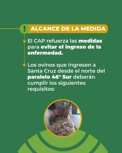 Santa Cruz refuerza la sanidad ovina y declara la emergencia agropecuaria