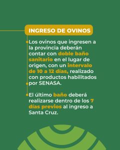 Santa Cruz refuerza la sanidad ovina y declara la emergencia agropecuaria