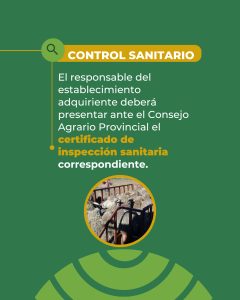 Santa Cruz refuerza la sanidad ovina y declara la emergencia agropecuaria