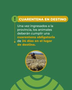 Santa Cruz refuerza la sanidad ovina y declara la emergencia agropecuaria