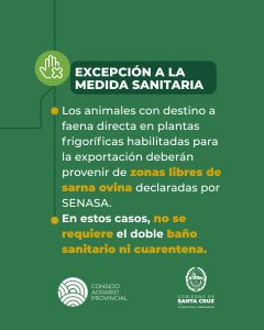 Santa Cruz refuerza la sanidad ovina y declara la emergencia agropecuaria