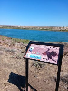 Ambiente participó del 102º Exposición Rural de Puerto Deseado