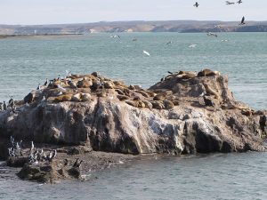 Ambiente participó del 102º Exposición Rural de Puerto Deseado