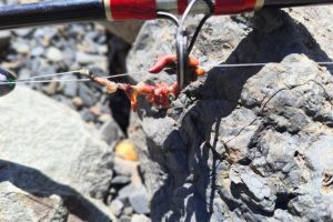 El Chaltén: Pesca Continental refuerza controles junto a Gendarmería Nacional