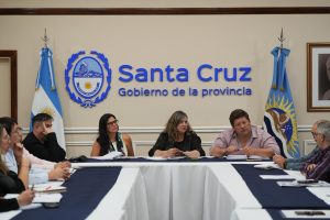 Reunión interministerial: acordaron unificar agenda para fortalecer la red sanitaria de Santa Cruz