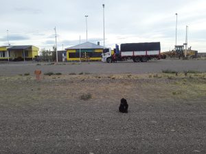 Vialidad Provincial realiza trabajos en Puerto Deseado y en rutas provinciales