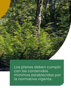 Se abre la convocatoria para la presentación de Planes de Manejo y/o Conservación de Bosques Nativos