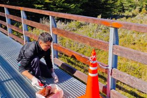 Turismo articula tareas de mantenimiento en el circuito de pasarelas del Glaciar Perito Moreno