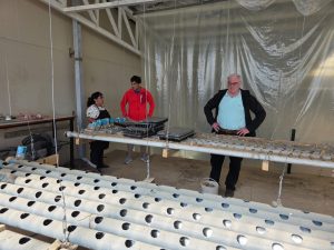 El CAP fortalece la producción local en Río Gallegos