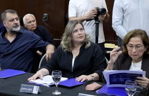 Santa Cruz estuvo presente en el primer Consejo Federal de Salud del 2026