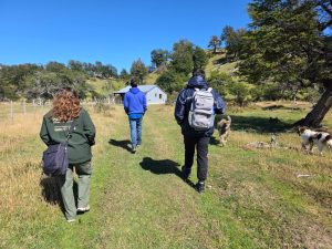 El Gobierno Provincial profundiza controles laborales en estancias del departamento Río Chico