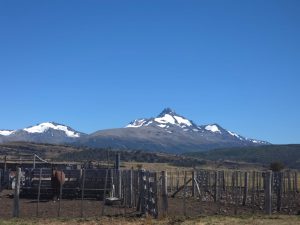 El Gobierno Provincial profundiza controles laborales en estancias del departamento Río Chico