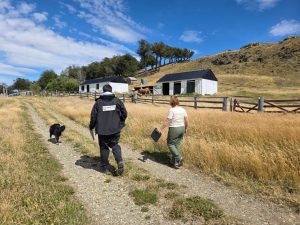 El Gobierno Provincial profundiza controles laborales en estancias del departamento Río Chico