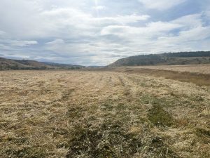 El Consejo Agrario Provincial acompaña el crecimiento productivo de la Cuenca Carbonífera