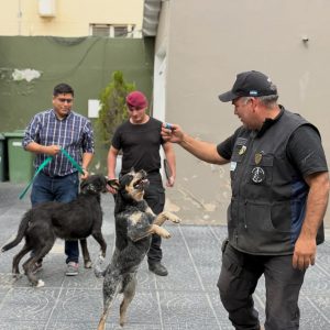El gobernador Claudio Vidal anunció la incorporación de dos nuevos integrantes a la División Canes