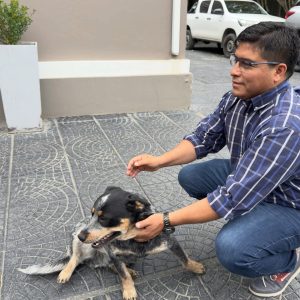 El gobernador Claudio Vidal anunció la incorporación de dos nuevos integrantes a la División Canes