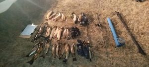 Pesca: resultado positivo en operativo de control en Puente Blanco