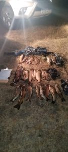 Pesca: resultado positivo en operativo de control en Puente Blanco