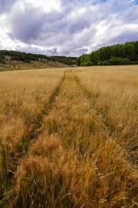 El CAP promueve el desarrollo productivo en la Cuenca Carbonífera con nueva maquinaria