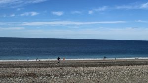 Cabo Vírgenes: El Consejo Agrario Provincial continúa con las tareas de limpieza para preservar nuestra reserva costera