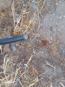 Graves hechos vandálicos contra escuelas de Las Heras y El Calafate