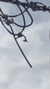 Graves hechos vandálicos contra escuelas de Las Heras y El Calafate