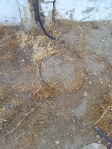 Graves hechos vandálicos contra escuelas de Las Heras y El Calafate