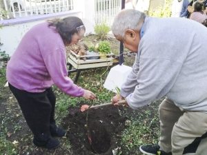 Adultos mayores de la Residencia “Dr. Braulio Zumalacarregui” impulsan jornada de forestación y cuidado ambiental