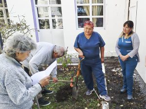 Adultos mayores de la Residencia “Dr. Braulio Zumalacarregui” impulsan jornada de forestación y cuidado ambiental