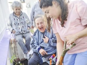 Adultos mayores de la Residencia “Dr. Braulio Zumalacarregui” impulsan jornada de forestación y cuidado ambiental